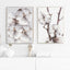 Cuadros Pink Cotton Flower Posters Prints Canvas